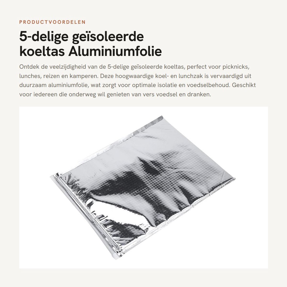Dailygoods- Koeltas Geïsoleerd - Aluminiumfolie - Voor Picknick/Lunch/Reizen - Duurzaam - Voedselbehoud - 25x30cm - Lunchbox