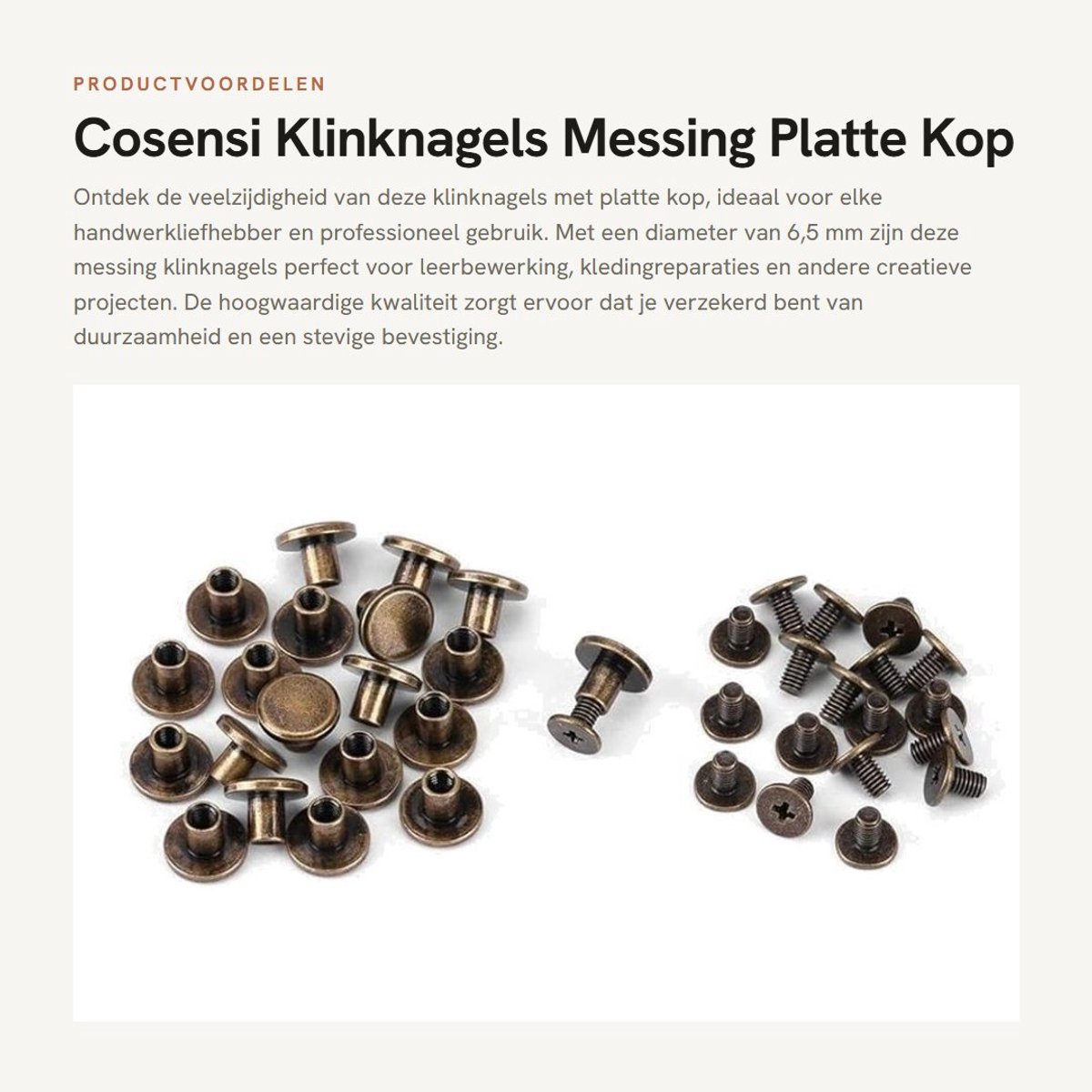 Dailygoods- Klinknagels 20 Stuks - Platte Kop - Messing - Schroeven/Moeren - Accessoires voor Leer - Handwerk - Professionele Kwaliteit