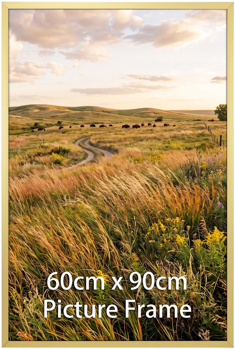 Giftgarden Fotolijst, 60 x 90 cm, gouden lijst van aluminium, wandlijst, decoratie voor thuis, 1 stuk - ShopVlot