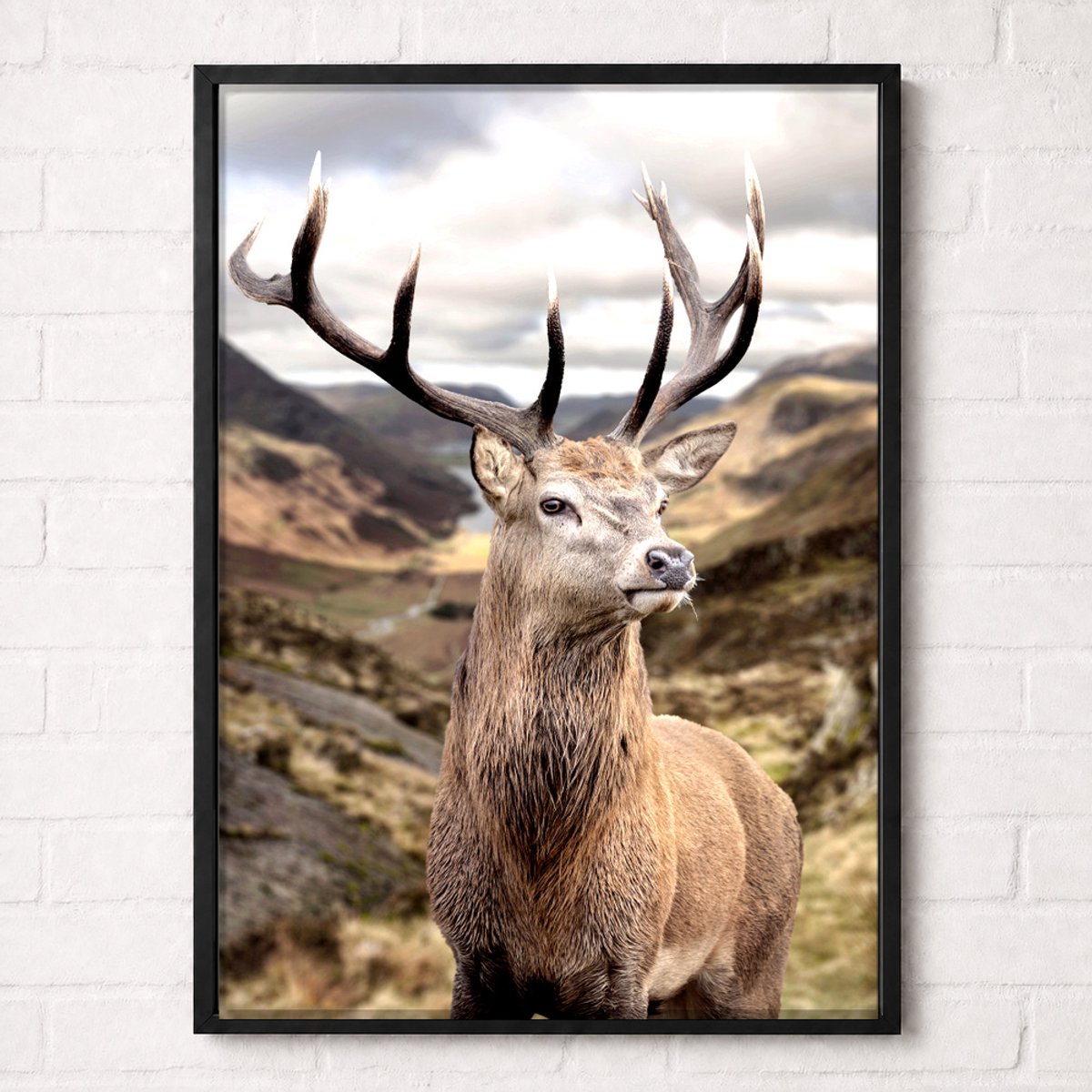 Edelhert in de Hooglanden Poster - Wildlife Nature Collection - Natuur Posters - A1+ 61 x 91,5 cm