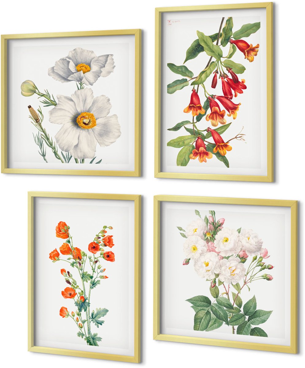 Coloray 4-Delige Schilderij Set - Bloemcomposities Retro Vintage Schilderij - 40 x 40 cm en 40 x 60 cm - Wanddecoratie - Schilderijen Set - Interieur - Decoratieve Schilderijen