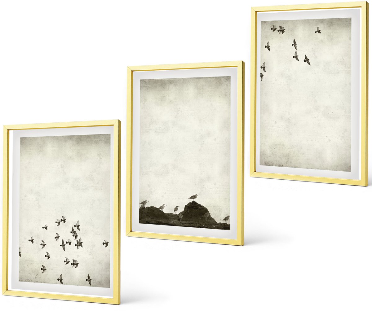 Coloray 3-Delige Schilderij Set - Vogels In Vlucht En Gekraste Texturen In Minimalistische Stijl - 40 x 40 cm En 40 x 60 cm - Decoratieve Schilderijen - Wanddecoratie - Hal - Moderne Wanddecoratie