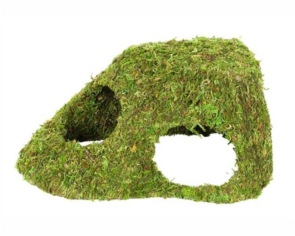 Hobby Terrarium Jungle Cave mosgrot 11-25,5 cm | natuurlijke schuilplaats voor regenwoudterrarium 25,5 x 14 x 11,5CM
