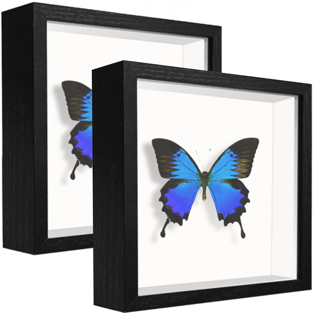 sunmeg Schaduwlijst, 13 x 13 cm, doos, diepe houten fotolijst, vierkante fotolijst, staand of aan muur, voor het - ShopVlot