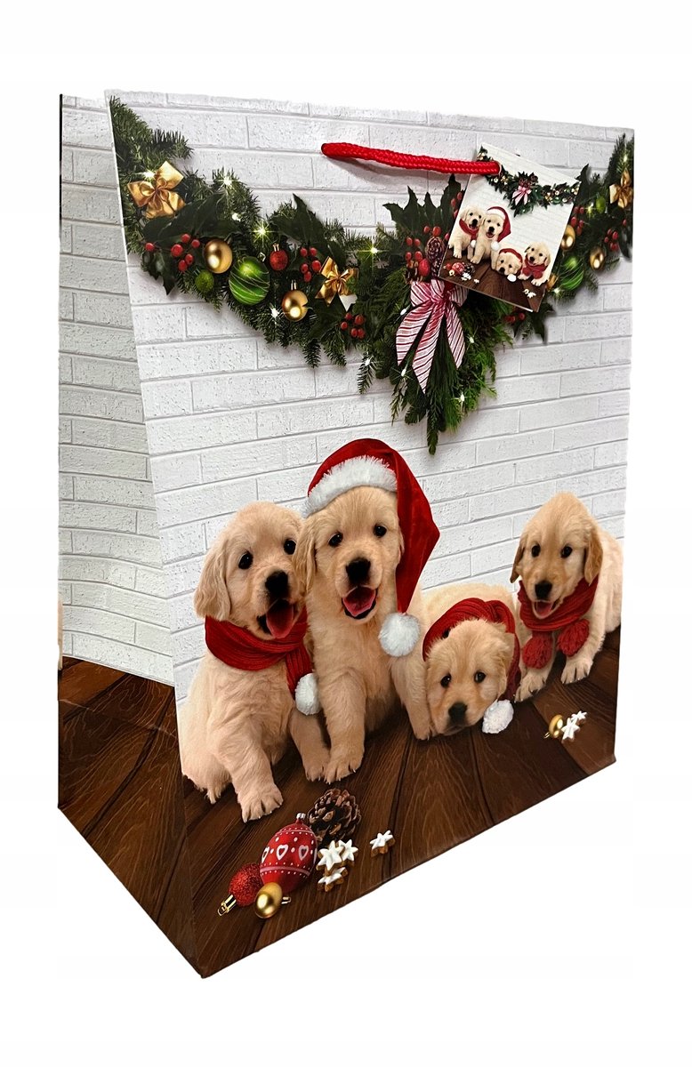 Feestelijke Cadeauzakjes - Kerst - 26x13.5x32 cm - 5 Stuks