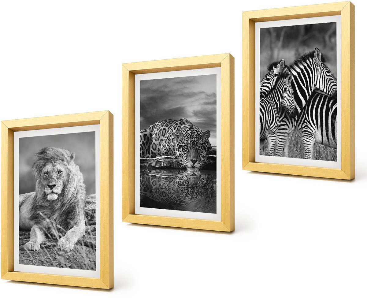 Coloray 4-Delige Schilderij Set - Wilde dieren van de savanne: leeuw, jaguar en zebra. - 20 x 30 cm - Stijlvolle Muurdecoratie - Kantoor