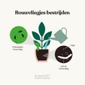 Illustratie van het bestrijden van rouwvliegjes met aaltjes. Adulten, larven, een plant en een gieter.