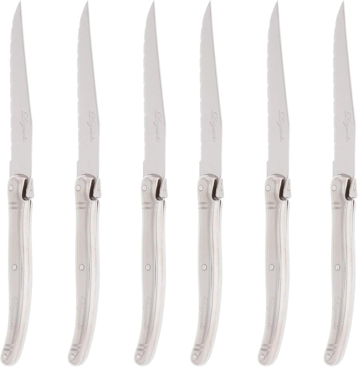 Zesdelige messenset - RVS - 11,5 cm - Stalen handvatten - Voor dagelijks en feestelijk gebruik