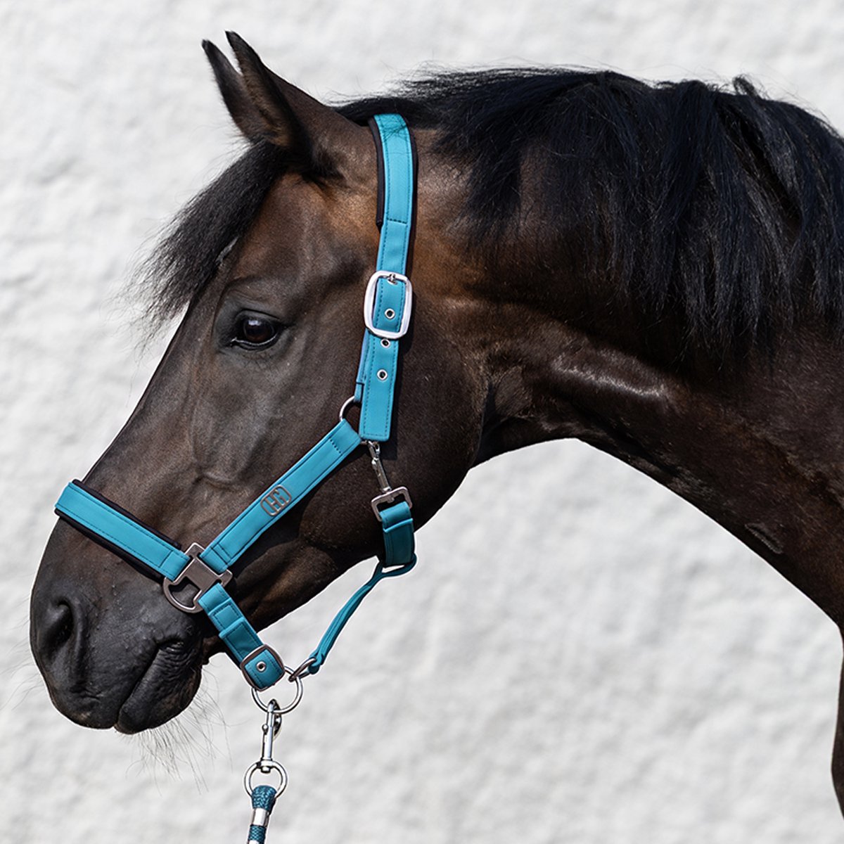 Horsegear Halsterset Horsegear Hgelisa Blauw