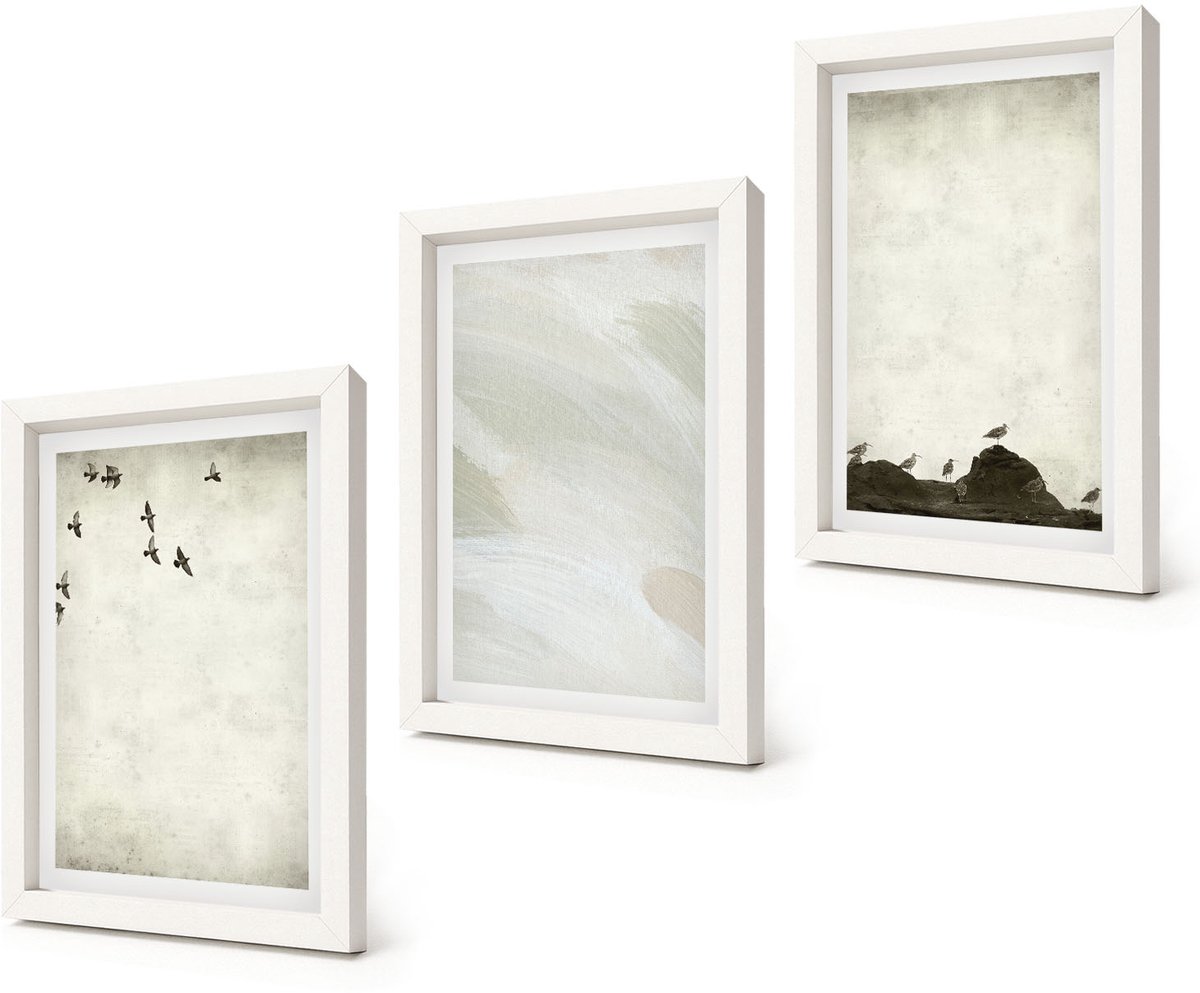 Coloray 3-Delige Schilderij Set - Vogels, rotsen en penseelstreken: minimalistische decoraties - 20x30 - Stijlvolle Wanddecoratie - Interieur