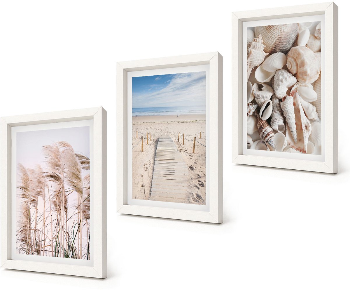 Coloray 3-Delige Schilderij Set - Zandstrand met schelpen en zeegras - 20x30 - Wanddecoratie - Schilderijen Set - Interieur - Woonkamer Decoratie