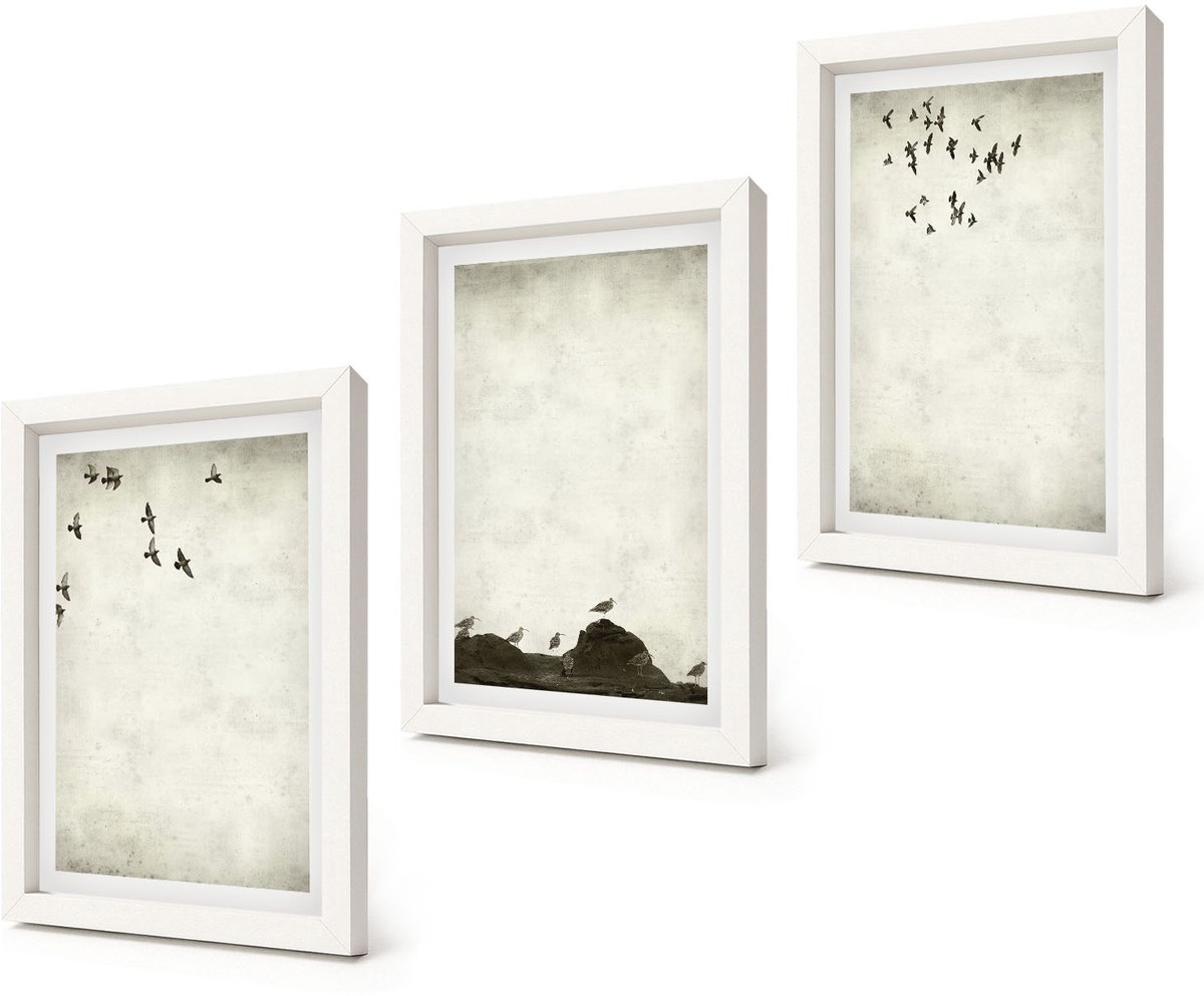 Coloray 3-Delige Schilderij Set - Vliegende zwerm vogels in minimalistische stijl - 20x30 - Schilderijen Set - Wanddecoratie - Woonkamer - Muurdecoratie