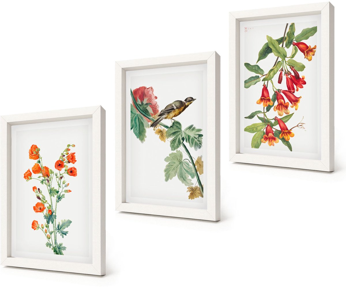 Coloray 3-Delige Schilderij Set - Geschilderde retro bloemen en een vogel op een tak - 20x30 - Wanddecoratie - Muurdecoratie - Woonkamer - Moderne Wanddecoratie