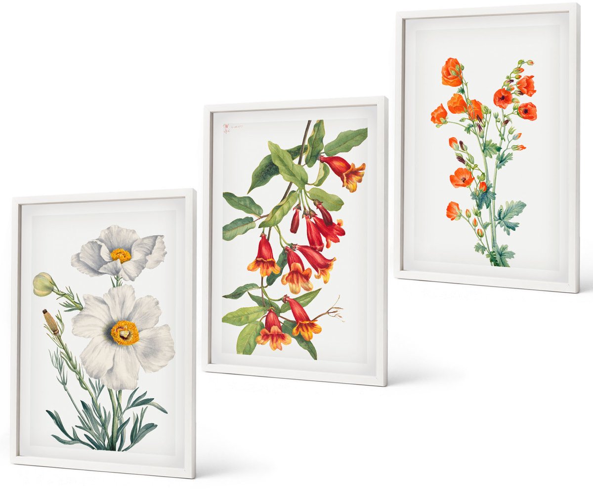Coloray 3-Delige Schilderij Set - Bloemcomposities Retro Vintage Schilderij - 40 x 60 - Muurdecoratie - Wanddecoratie - Hal - Decoratieve Schilderijen