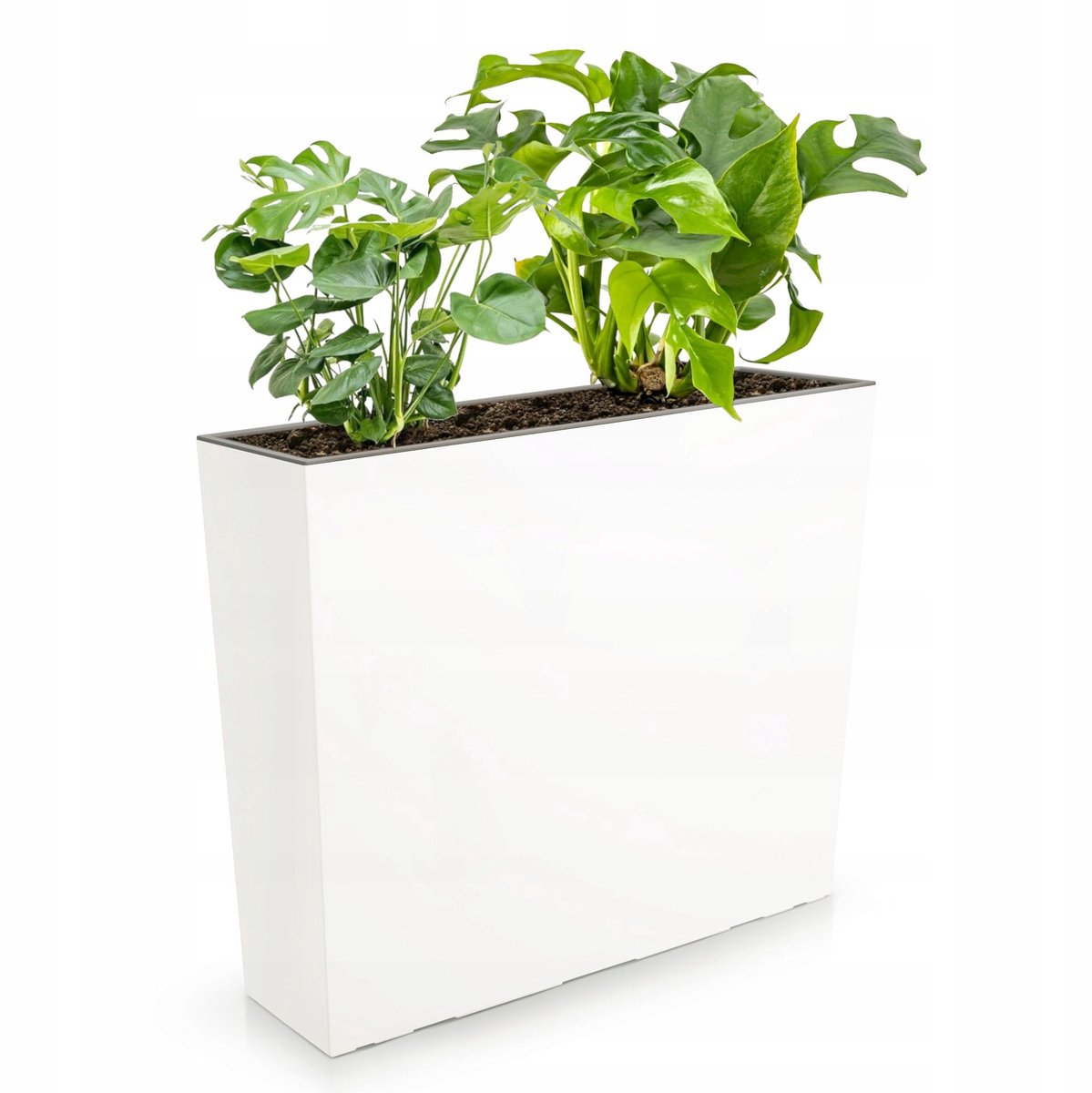 Moderne Plantenbak Wit 58x18x50 cm met Zelfwateringsysteem