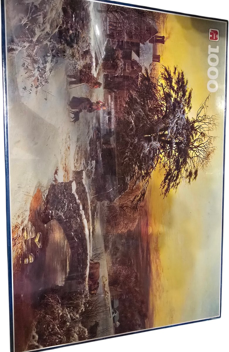 Vicat Cole Winterlandschap 1000 puzzel Jumbo