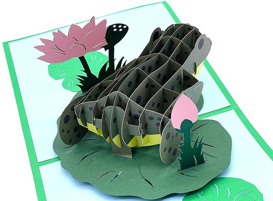 Pop-Up-Groetkaarten – 3D-kaarten met Froschmotief voor verschillende gelegenheden — afbeelding 4
