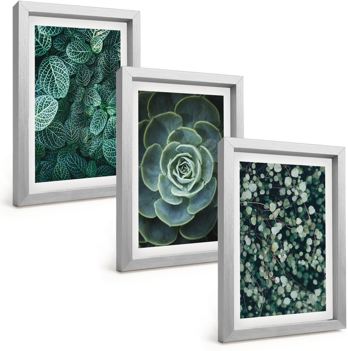 Tulup 4-Delige Schilderij Set - Groene bladeren van vetplanten en tere takjes - 20 x 30 cm - Muurdecoratie - Wanddecoratie - Hal