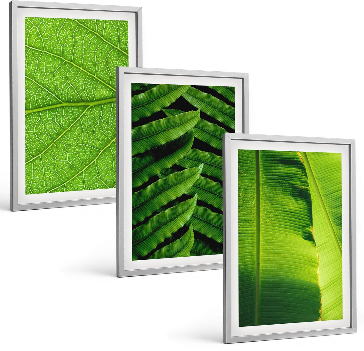 TULUP 4-Delige Schilderij Set - Close-ups van tropische bladeren - 40 x 60 cm - Schilderijen Set - Wanddecoratie - Woonkamer Zilveren lijst