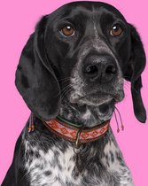DWAM Dog with a Mission – Halsband Hond – Hondenhalsband – Roze – L – Leer – Halsomvang tussen 38-47 x 4 cm – Sweet Mae
