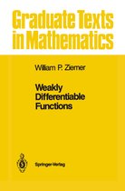 Weakly Differentiable Functions