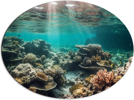 Dibond Ovaal - Onderwater - Zee - Water - Koraal - Dieren - Kleuren - Zand - 68x51 cm Foto op Ovaal (Met Ophangsysteem)