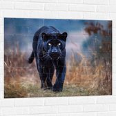 Muursticker - Panter -Zwart - Dier - Wid - 100x75 cm Foto op Muursticker