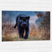 Muursticker - Panter -Zwart - Dier - Wid - 90x60 cm Foto op Muursticker