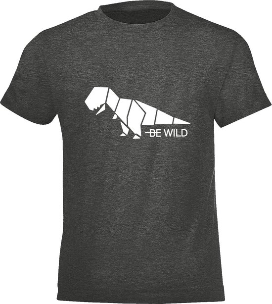 Be Friends T-Shirt - Be wild dino - Kinderen - Grijs - Maat 10 jaar