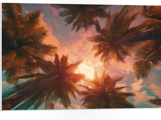 PVC Schuimplaat - Palmbomen - Kleuren - Onderaanzicht - Zon - 75x50 cm Foto op PVC Schuimplaat (Met Ophangsysteem)