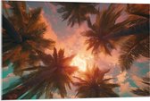 Acrylglas - Palmbomen - Kleuren - Onderaanzicht - Zon - 105x70 cm Foto op Acrylglas (Met Ophangsysteem)