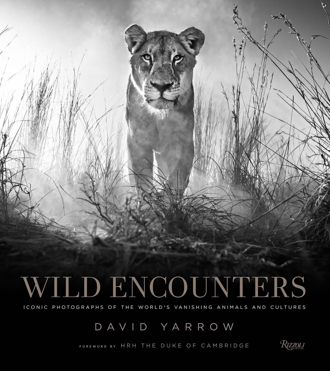 Wild Encounters - David Yarrow