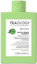 Teaology Matcha Repair Shampoo 250 ml