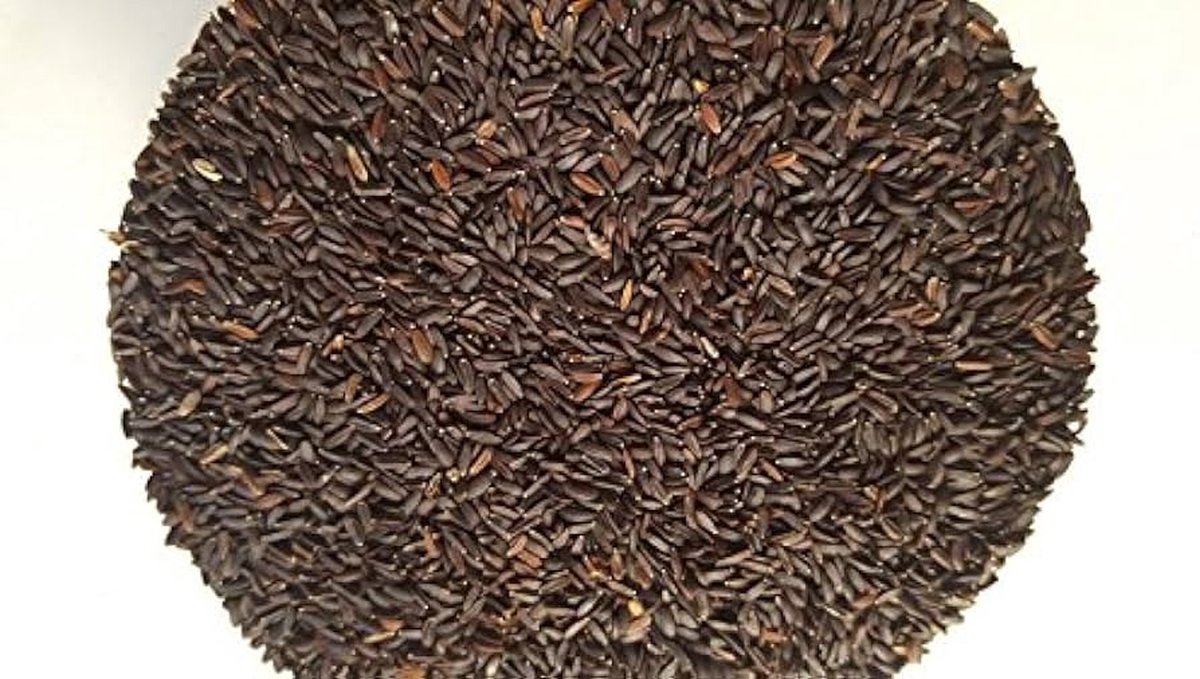 Tukmalanga Seeds 100gr