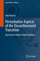 Lecture Notes in Physics 1006 - Perturbative Aspects of the Deconfinement Transition