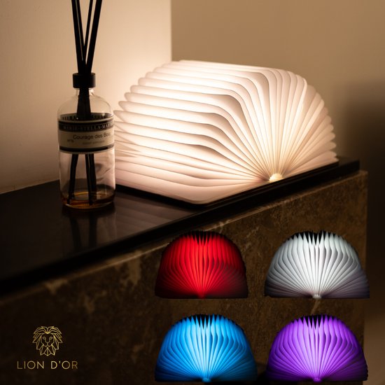 Lion D'or® - Lampe Livre - Lampe de Table - Lampe d'ambiance - Lampe Boek - 16,5x12,5x2,5 cm - Lampe de Nuit - 9 Modes d'éclairage - Bois - Liseuse pour Boek - Décoration Salon - USB Rechargeable