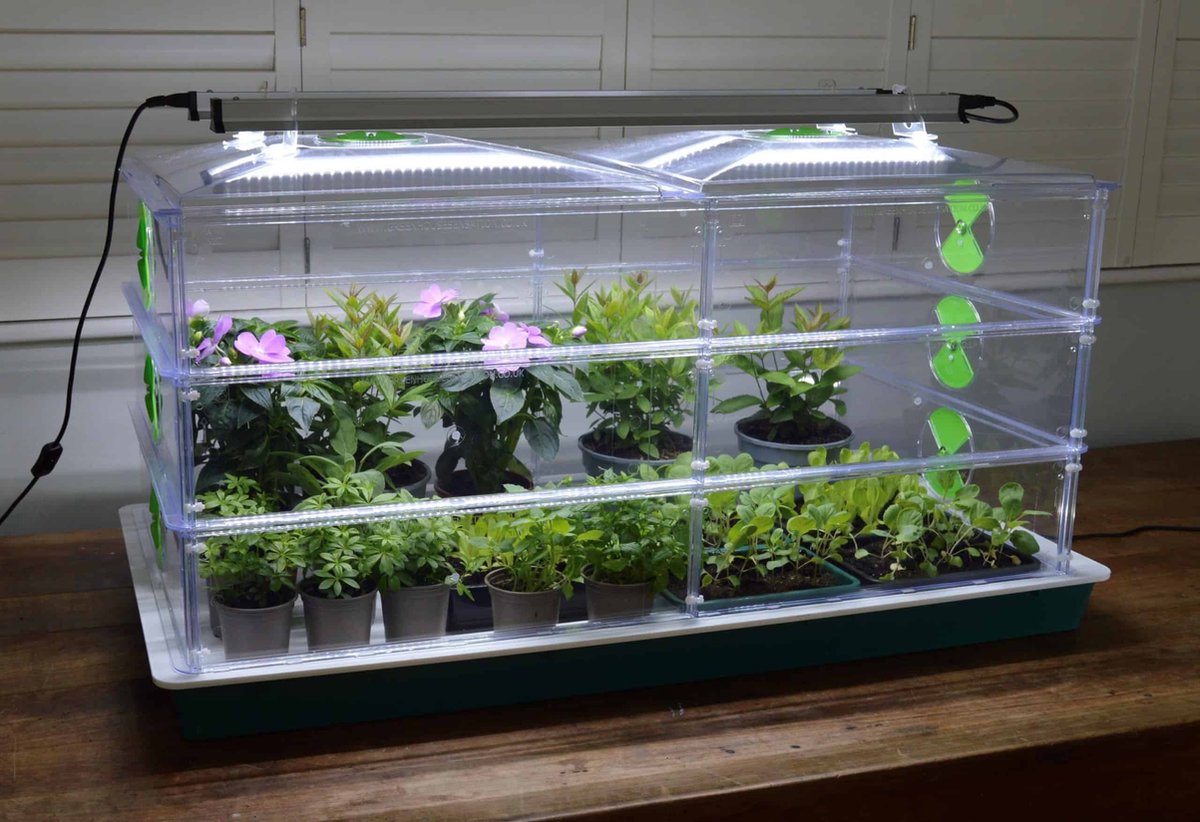 Propagator Vitopod 100W verwarmd met thermostaat en 2 LED groeilampen - 24cm hoog (groen/witte bodem)