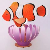 Assembli DIY Coral Reef collectie Clownvis