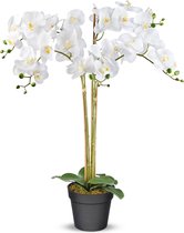 Kunstplant Orchidee / Phalaenopsis XXL 5-tak wit (90 cm)