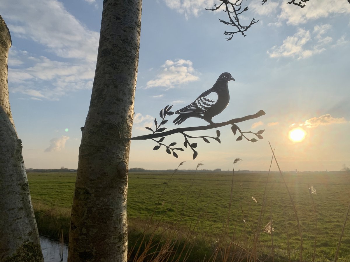 Metalen vogels tuin decoratie - De Duif - Decoratie vogels