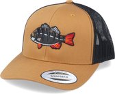 Hatstore- Perch Black Applique Retro Caramel Trucker - Skillfish Cap