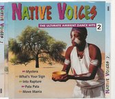 Native Voices 2 Vol. 2