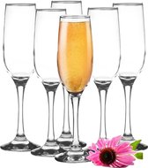 Glasmark Champagneglazen - 6x - Rocroi - 200 ml - glas - flutes
