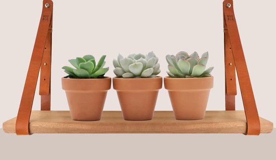 Supports étagère en cuir SHELV - Ajustable - Cuir Zwart - Lot complet de 2