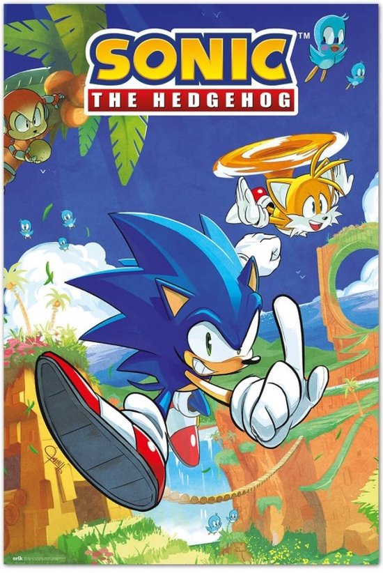 Sonic the Hedgehog poster - Sega - Game - 61 x 91.5 cm