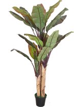 Kunst Rode Bananenboom Maurelli | 200cm - Namaak bananenboom - Kunstplanten voor binnen - Bananen kunstboom