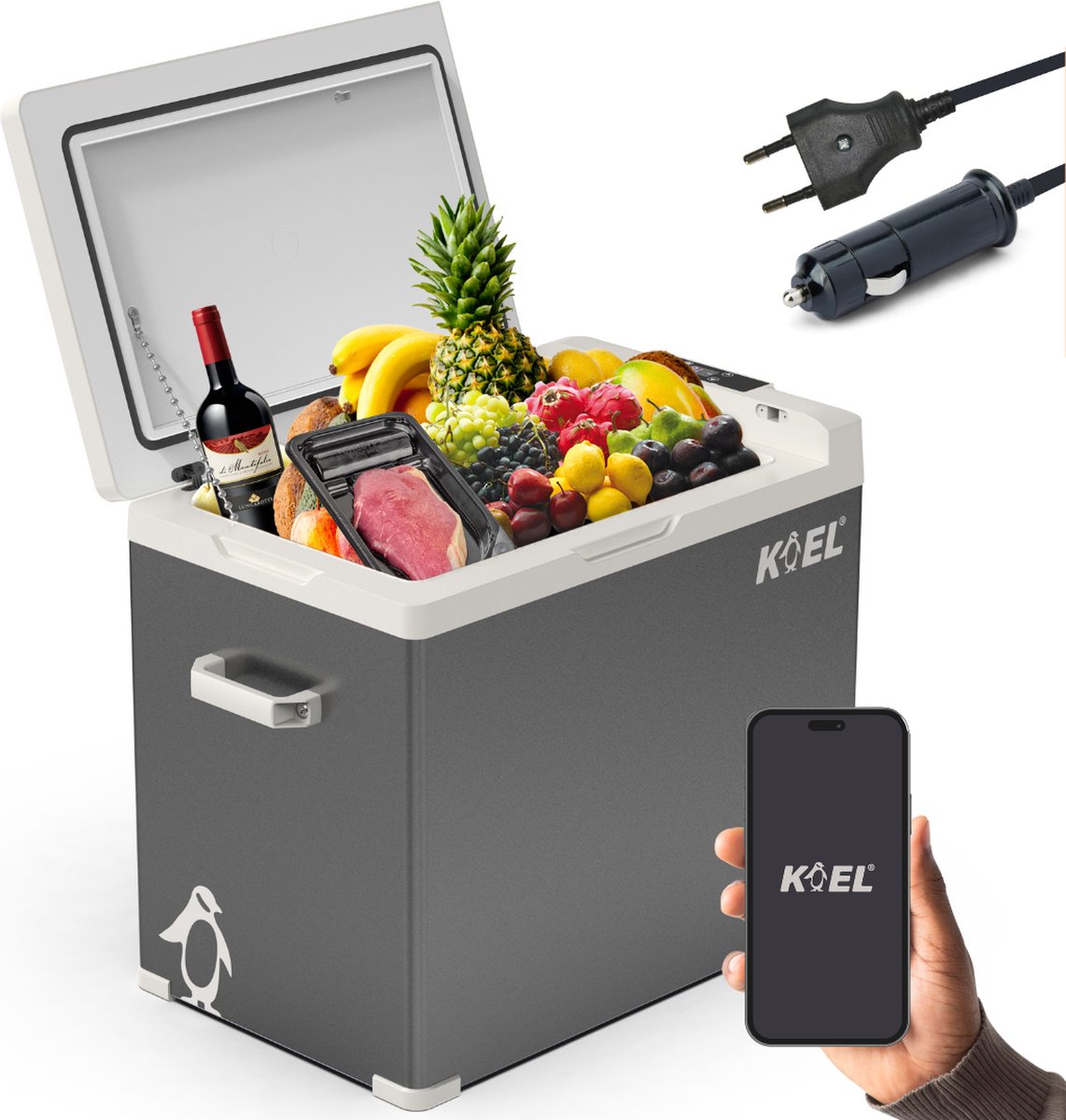 Bol.com Koel Crate 50L - Compressor Koelbox Elektrisch 12V en 220V/230 Volt - Camping Koelkast voor Auto - Coolbox tot -20°C aanbieding
