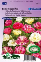 Sluis Garden - Slaapmutsje Bridal Bouquet mix, dubbelbloemig