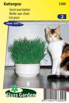 Sluis Garden - Kattegras (gerst) - kattengras