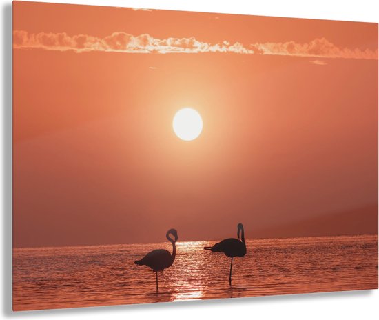 Indoorart - Glasschilderij flamingo sunset 120x80 CM - Afbeelding op plexiglas - Inclusief montagemateriaal